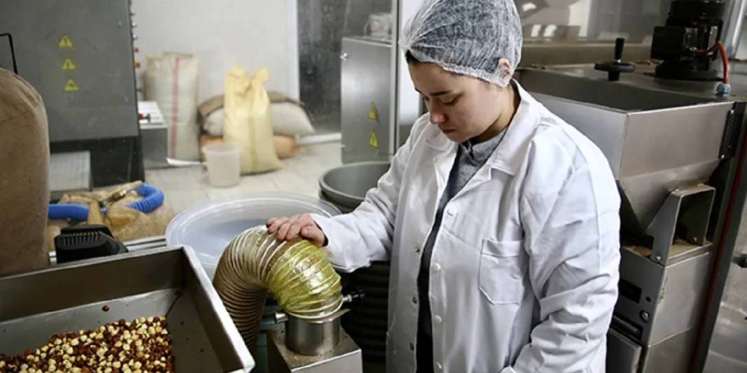 23 yaşında patronlukla tanıştı! 3 farklı şekilde işliyor: Geleceğe yatırım yapıyor 3